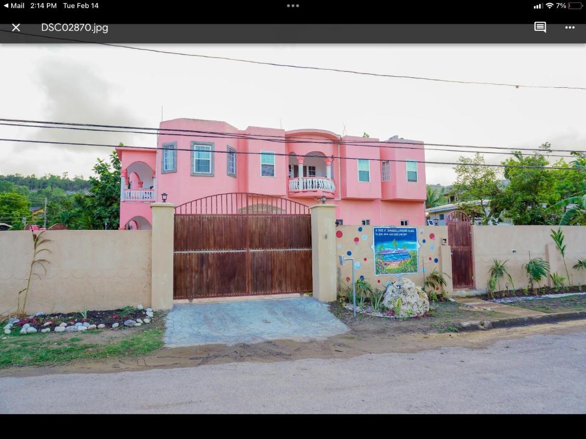 A Taste Of Jamaica Lavern'S Place オーチョ・リオス エクステリア 写真
